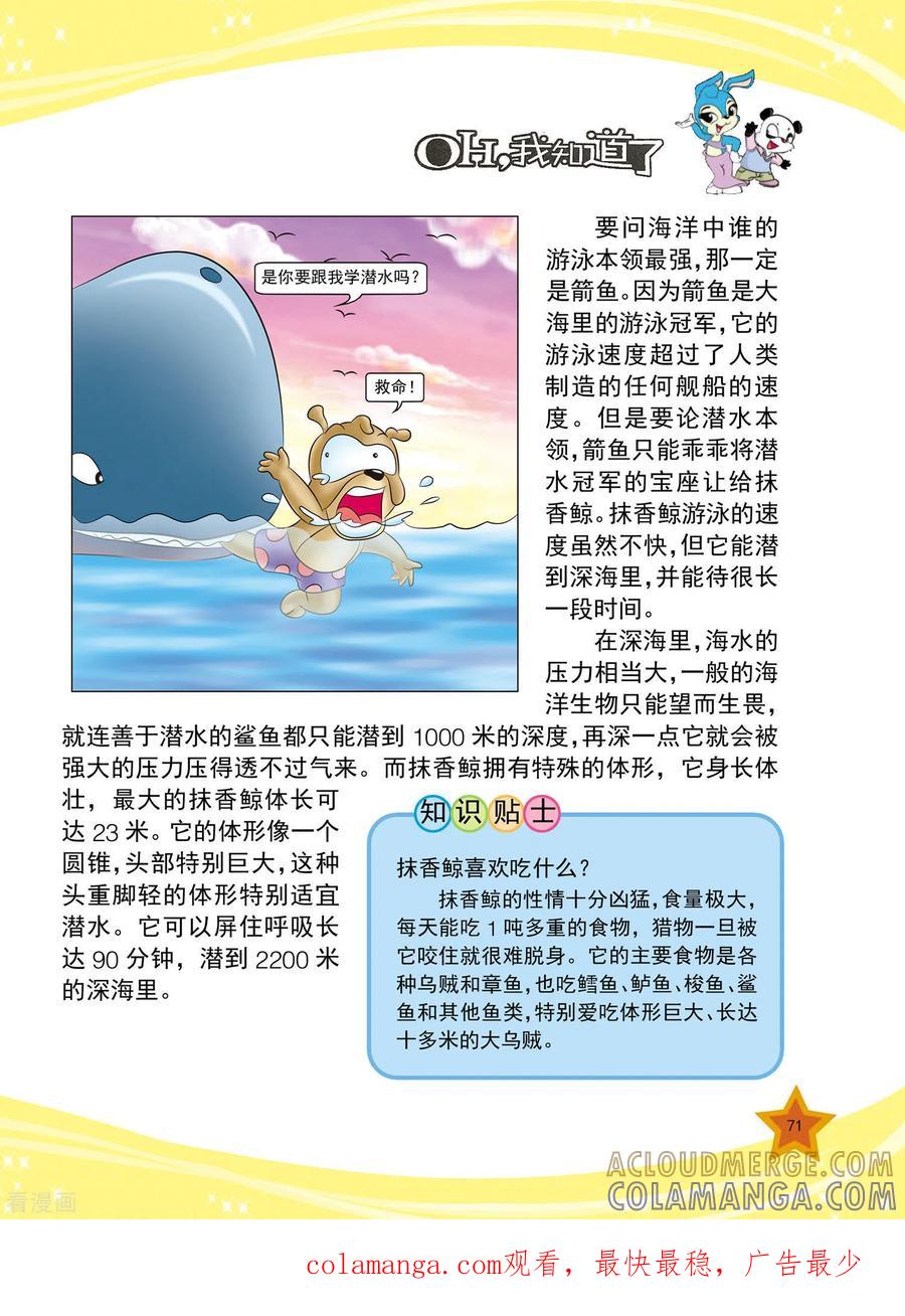 第16话-虹猫蓝兔十万个为什么-虹猫蓝兔（第4张）