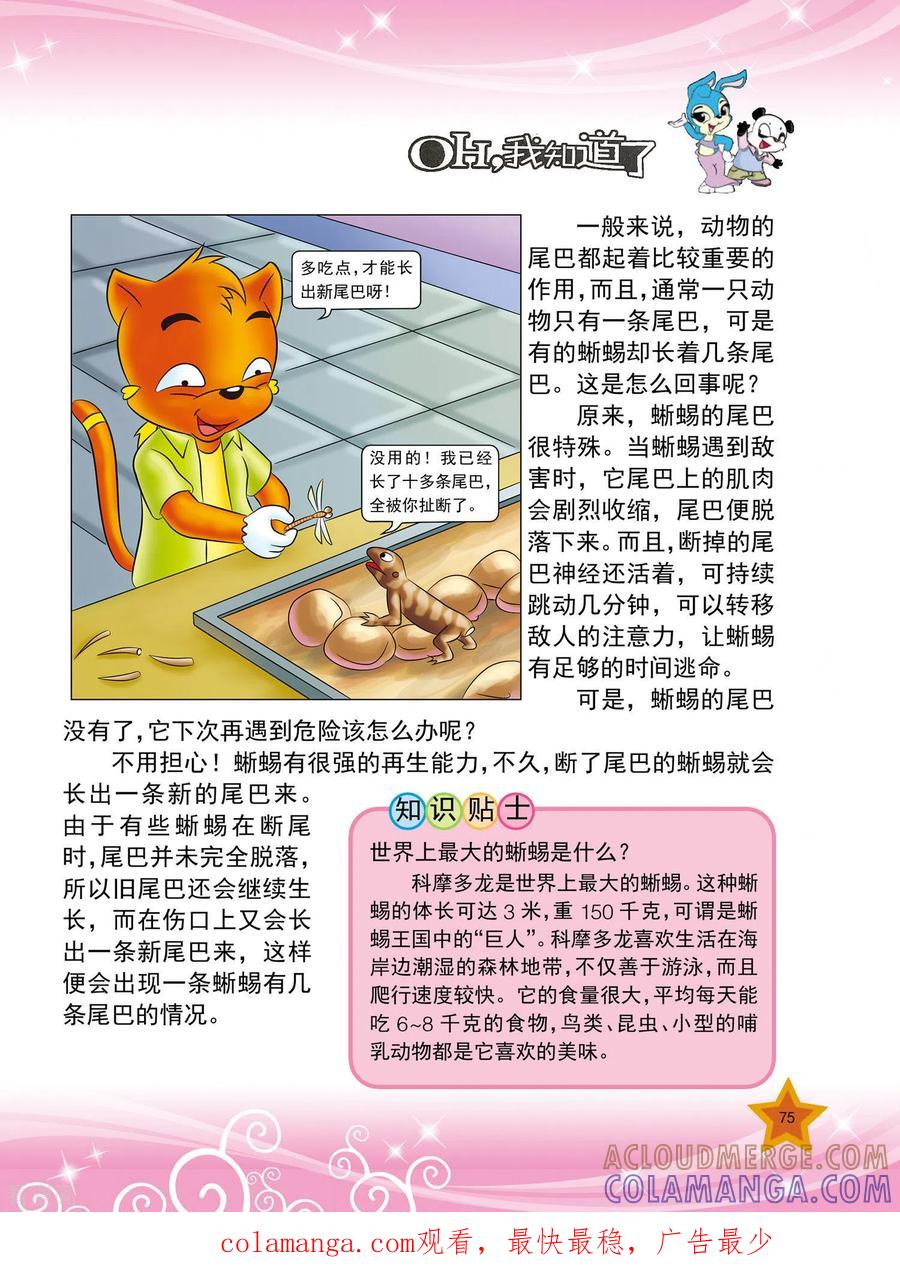第17话-虹猫蓝兔十万个为什么-虹猫蓝兔（第4张）