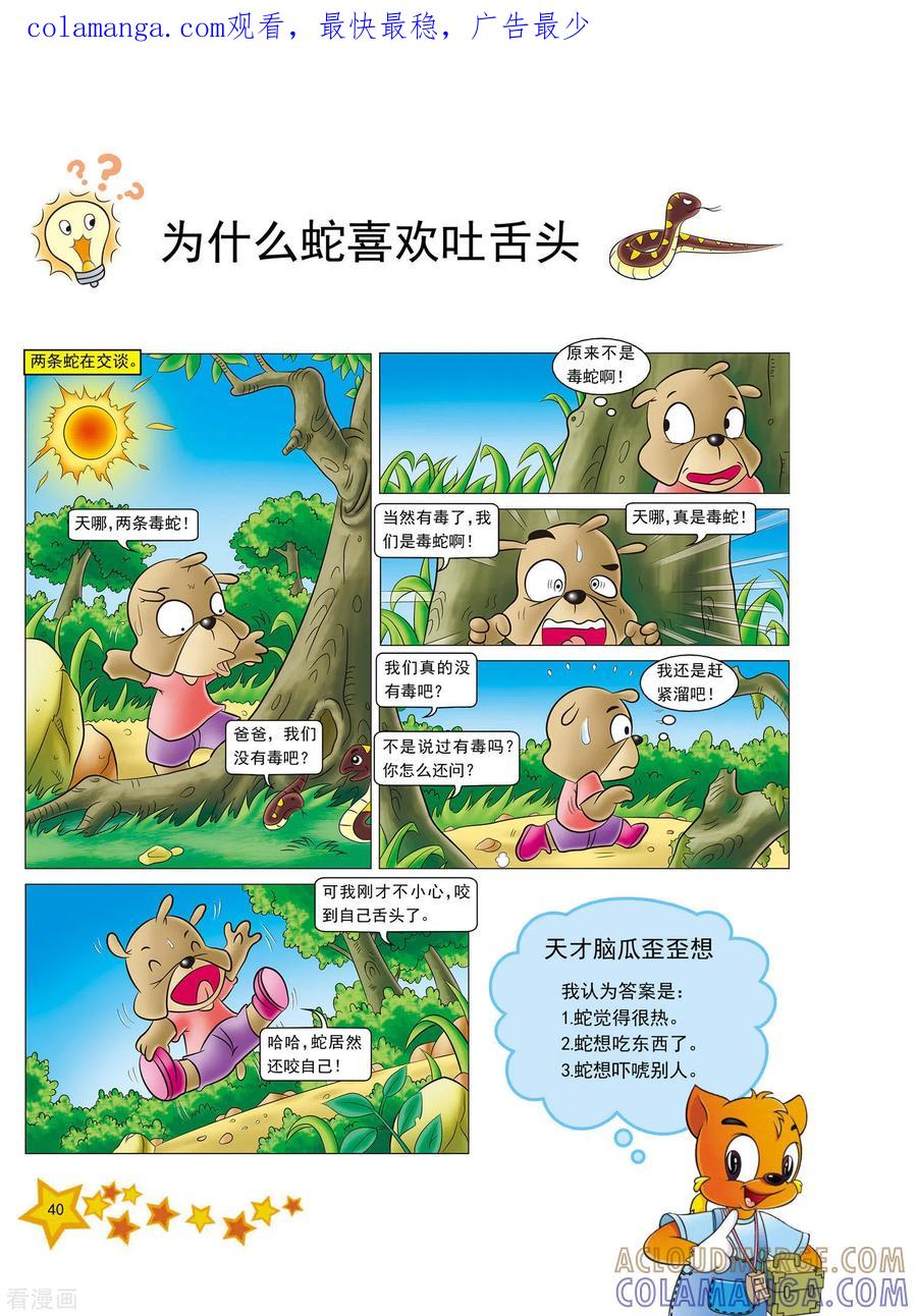 第9话-虹猫蓝兔十万个为什么-虹猫蓝兔（第1张）