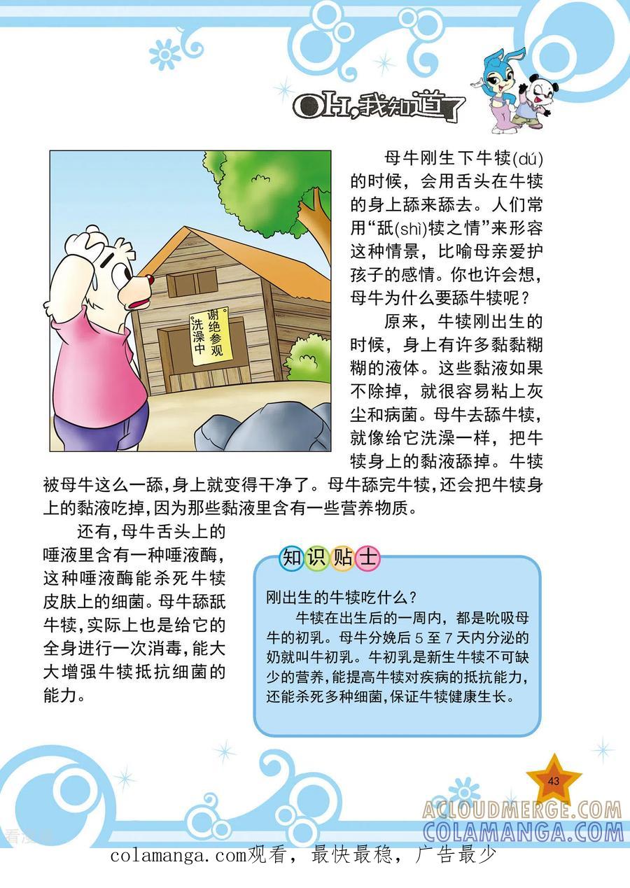 第9话-虹猫蓝兔十万个为什么-虹猫蓝兔（第4张）