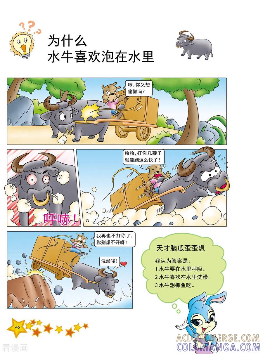 第10话-虹猫蓝兔十万个为什么-虹猫蓝兔（第3张）