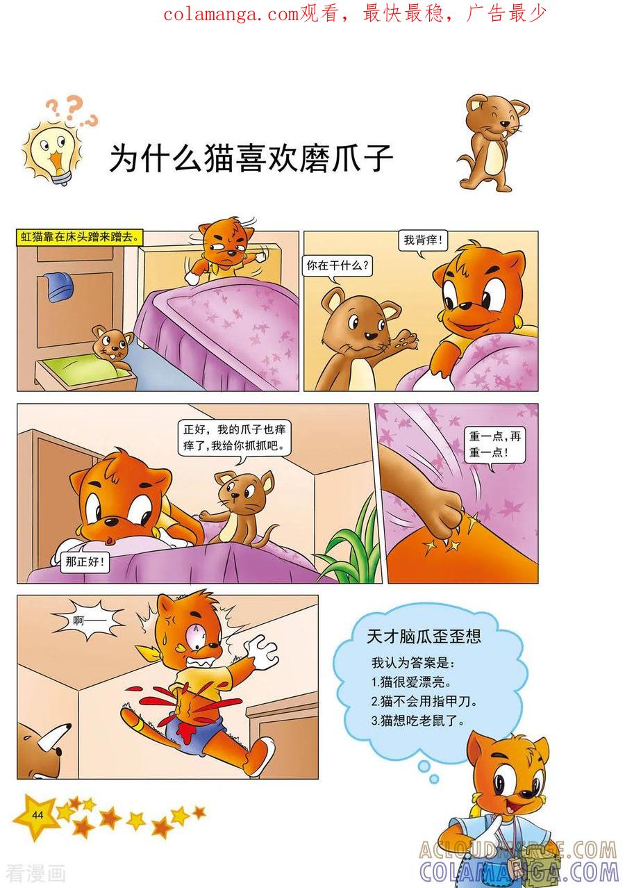 第10话-虹猫蓝兔十万个为什么-虹猫蓝兔（第1张）
