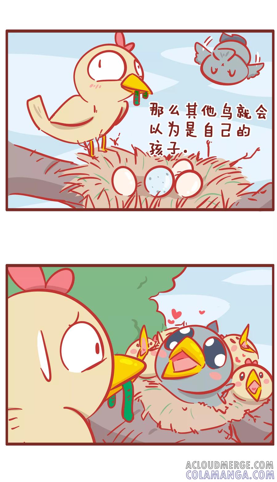 第167话布谷鸟-隔壁老王家-蓝文文化（第3张）