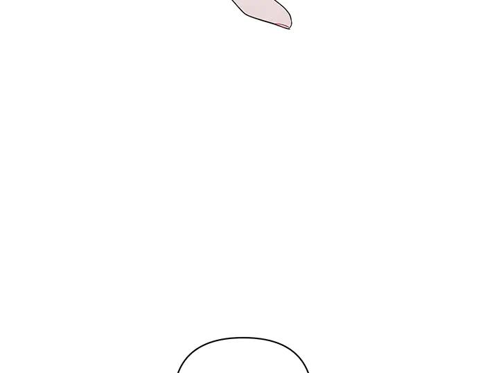 223.jpg