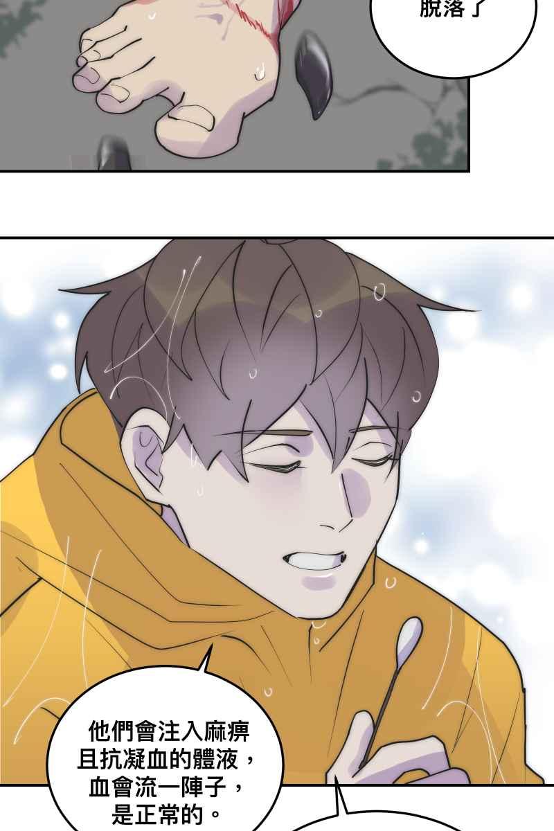 51.jpg