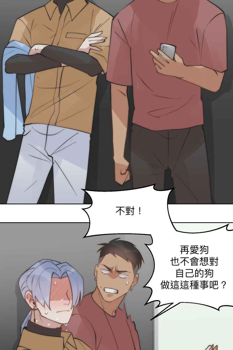 47.jpg