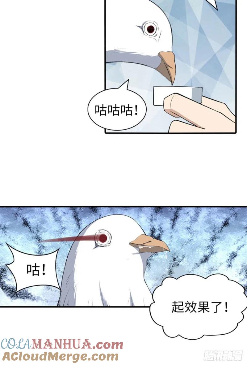 47.jpg