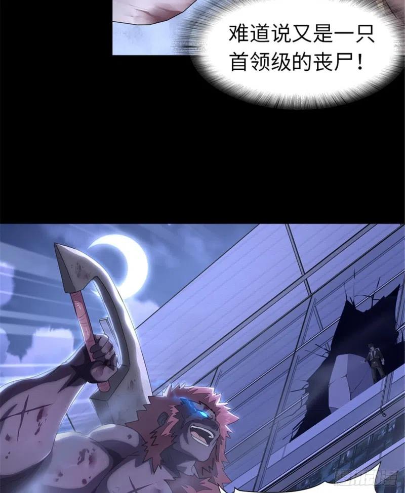 62.jpg
