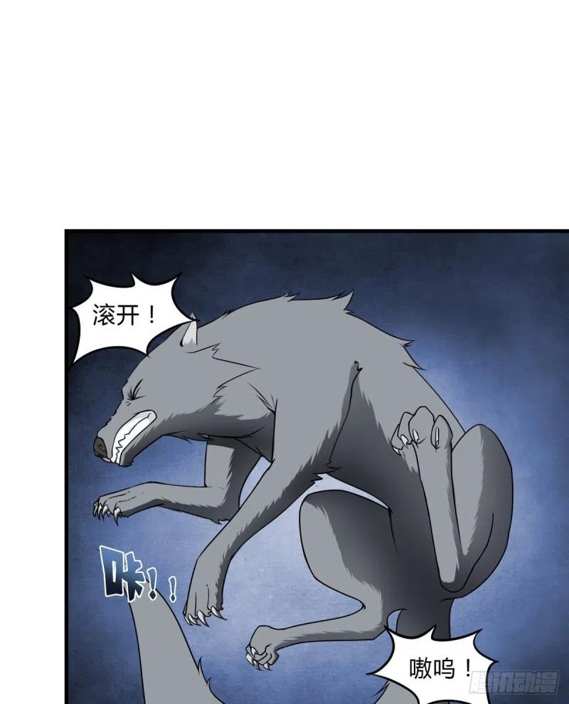 26.jpg