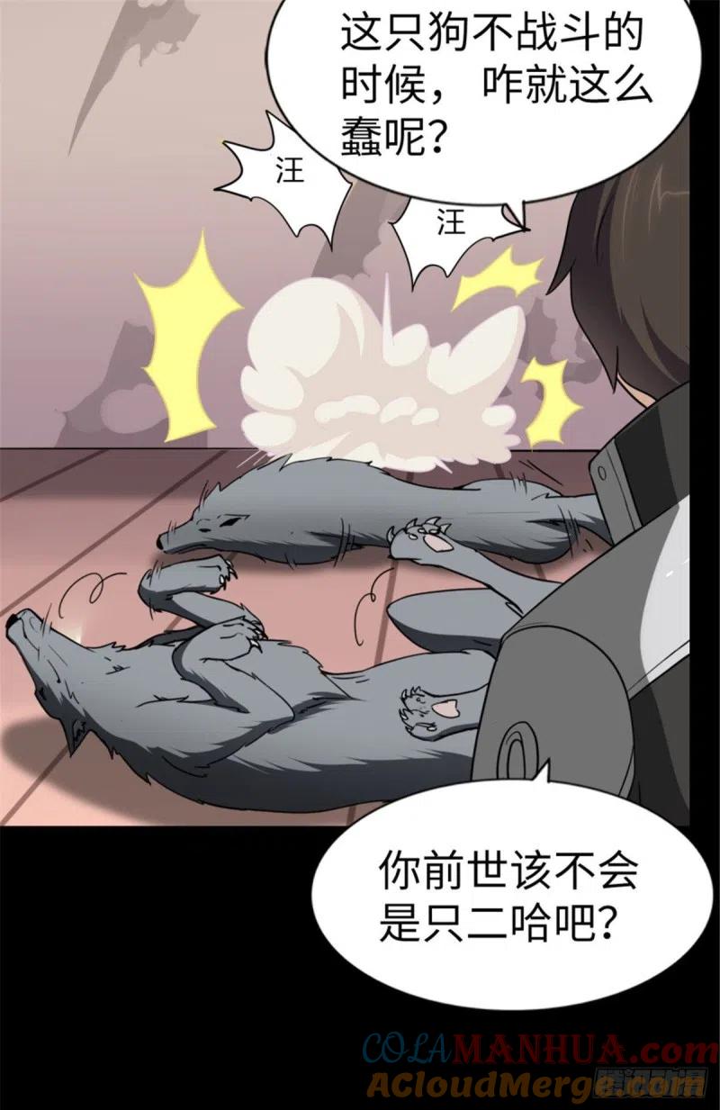 18.jpg