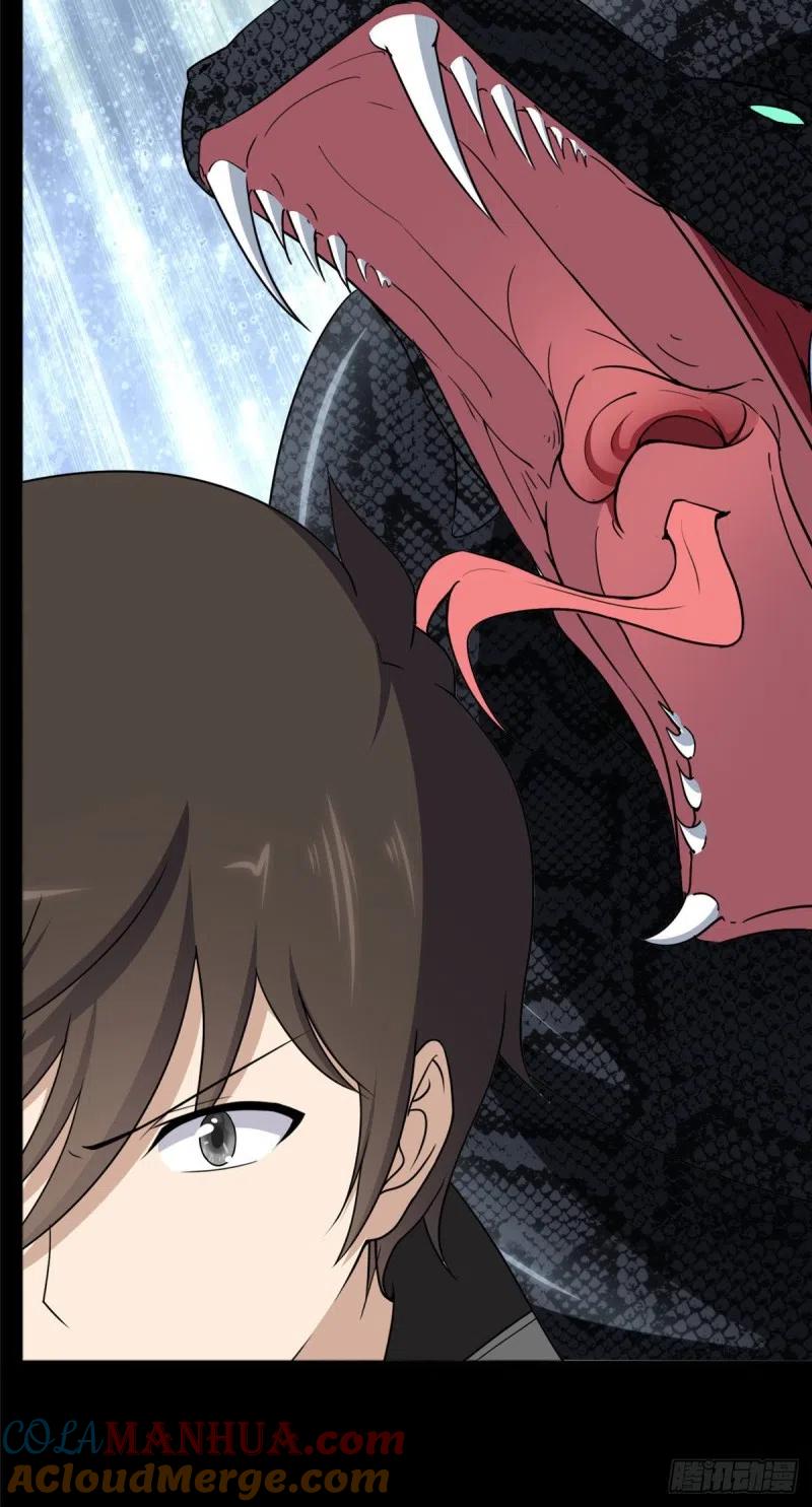 31.jpg