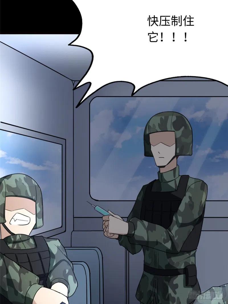 72.jpg