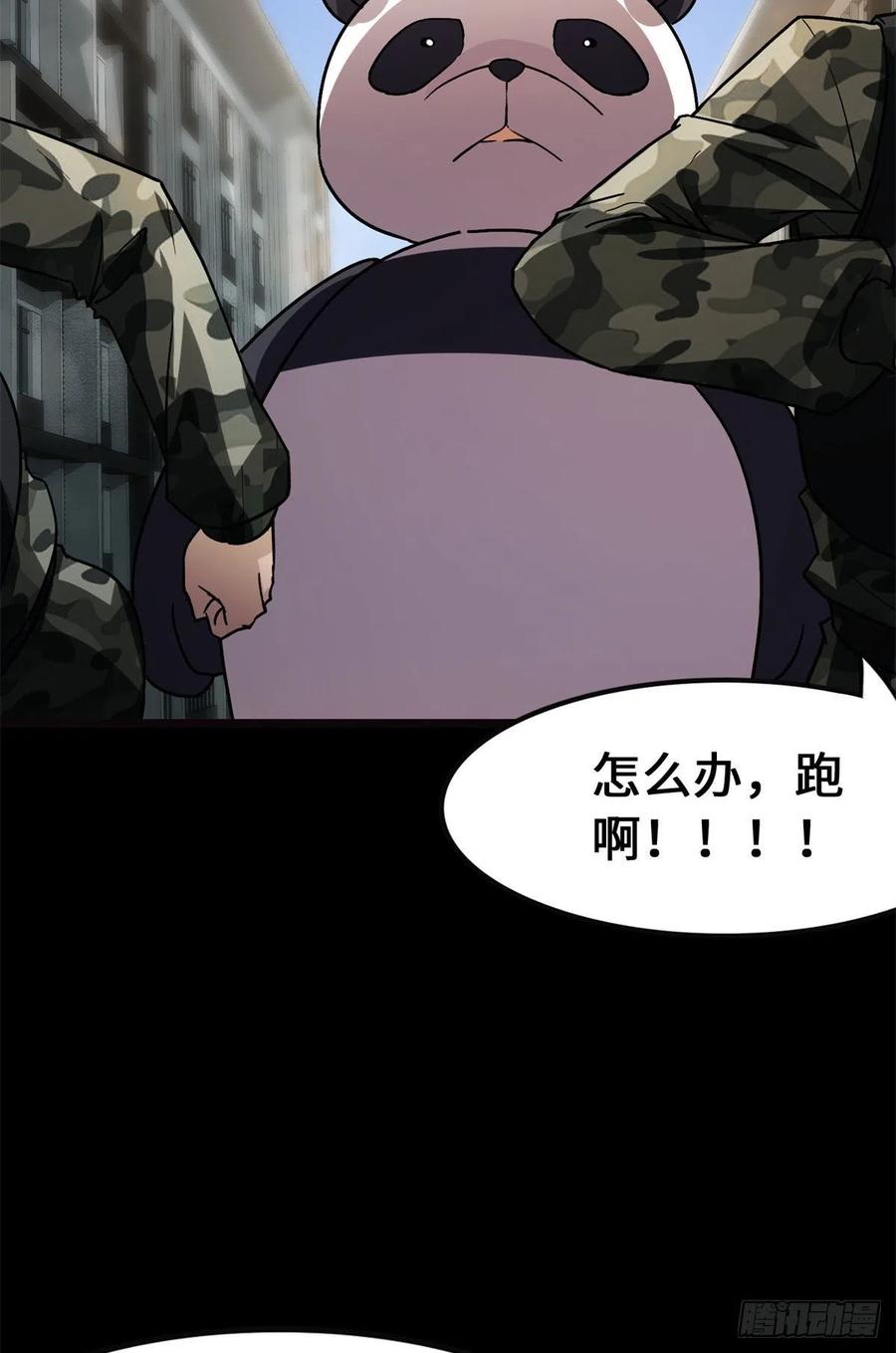 41.jpg