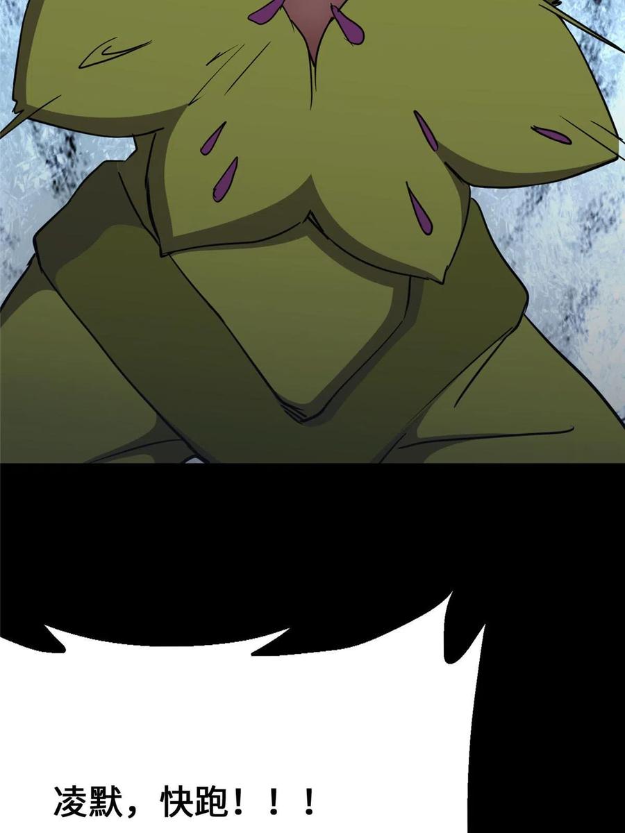 79.jpg