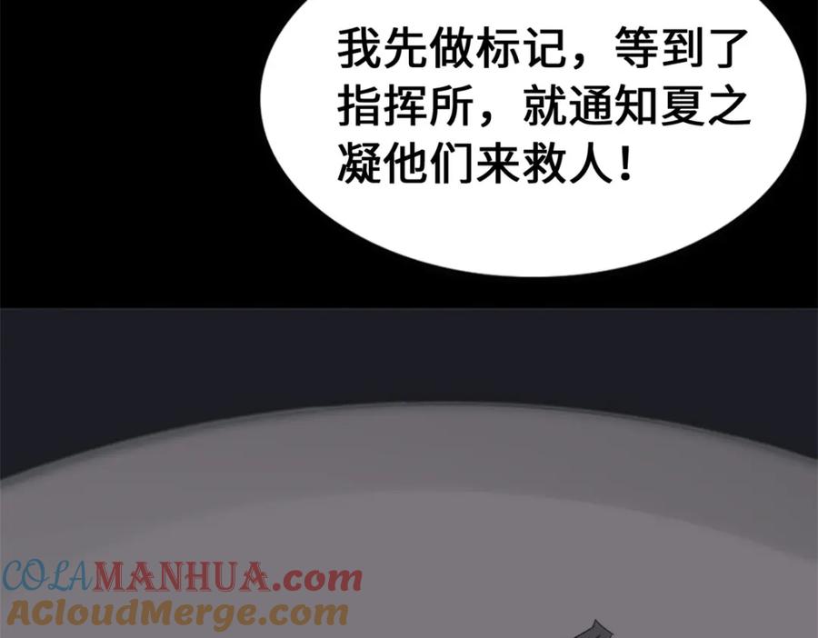 201.jpg