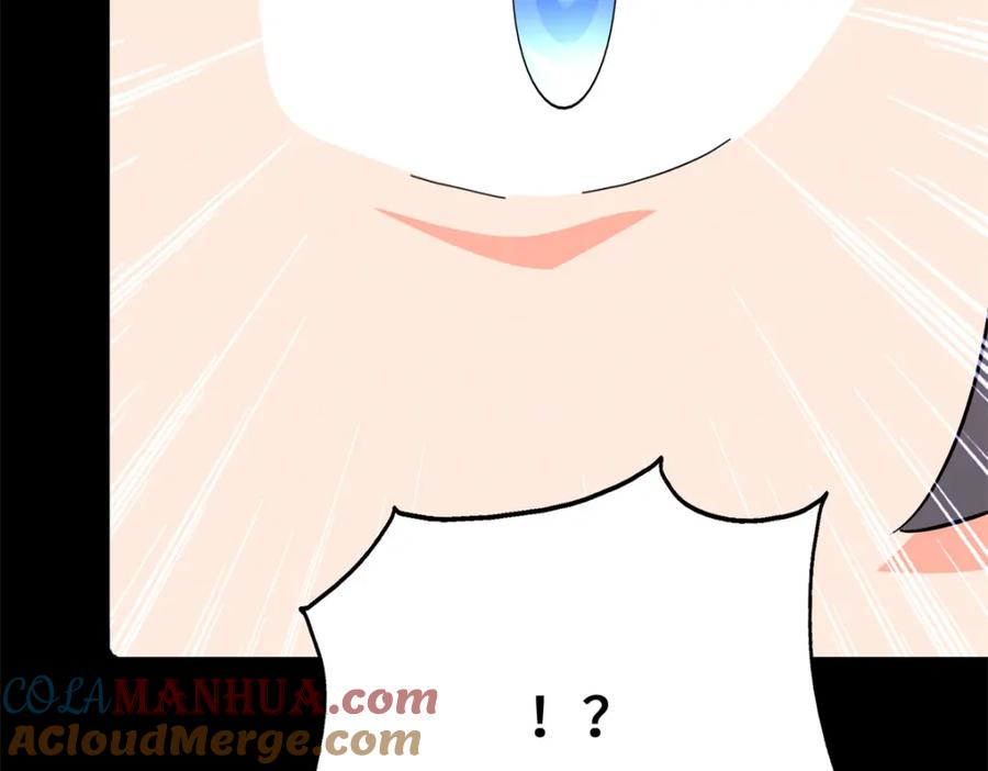 236.jpg