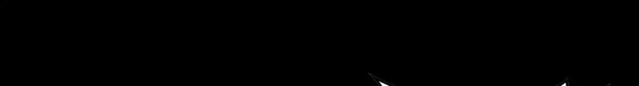 91.jpg