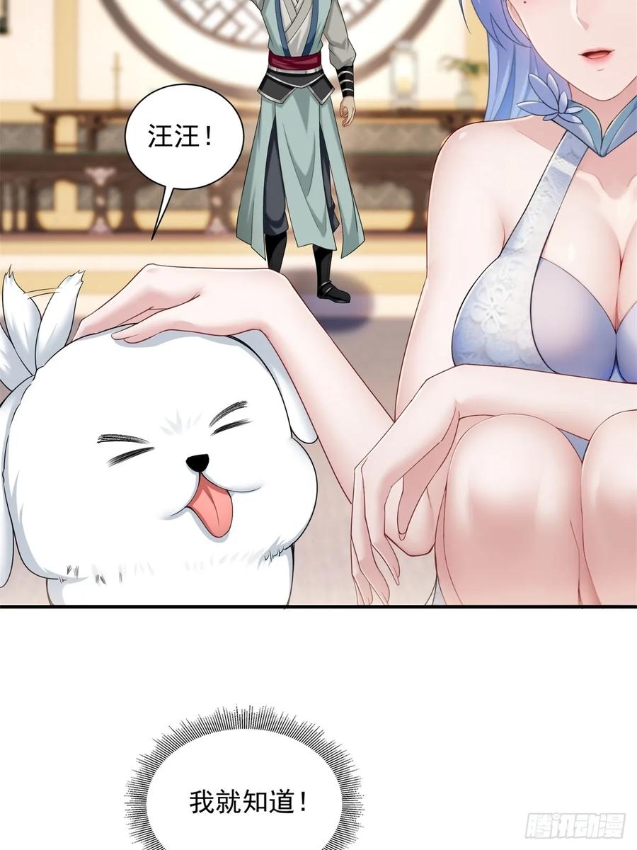15.jpg