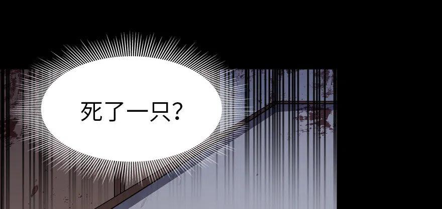 64.jpg
