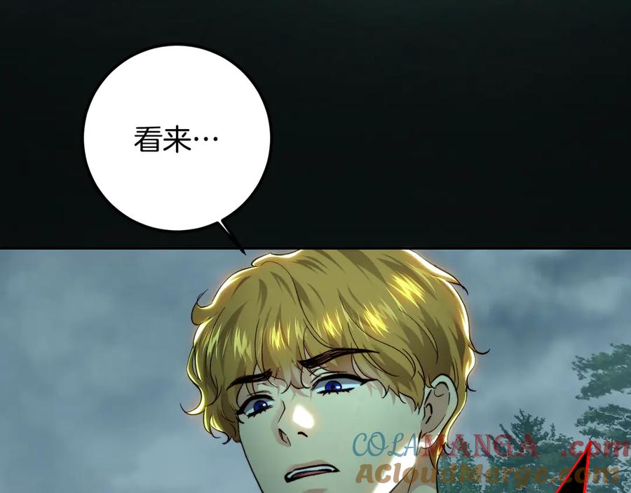 141.jpg