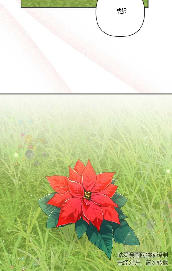 63.jpg
