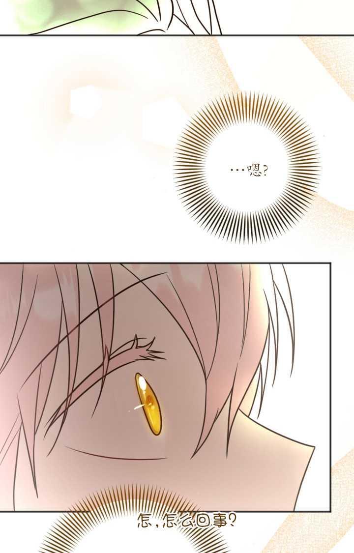 44.jpg