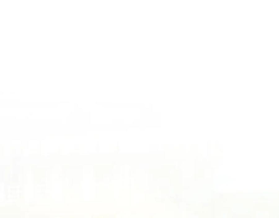 146.jpg