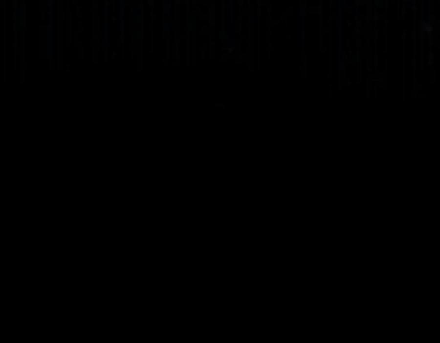 175.jpg