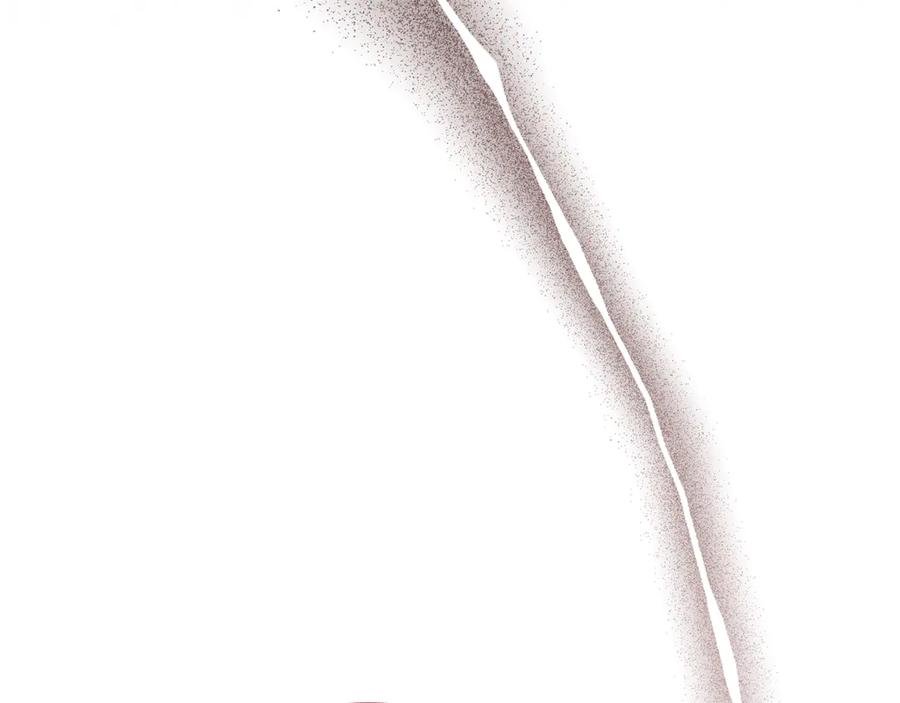 251.jpg