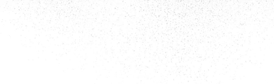102.jpg