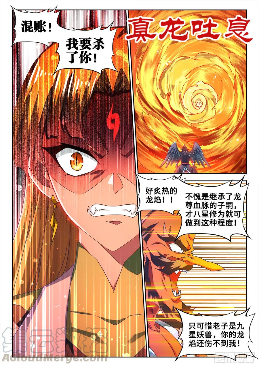 608、飞盘-我的天劫女友-刀瑞斯 x 包子山的熊小白（第7张）