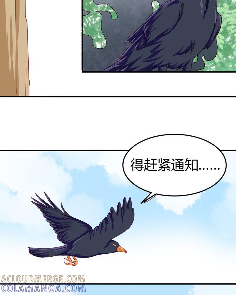 10-我的身体里住了个神仙-荷露丝（第5张）