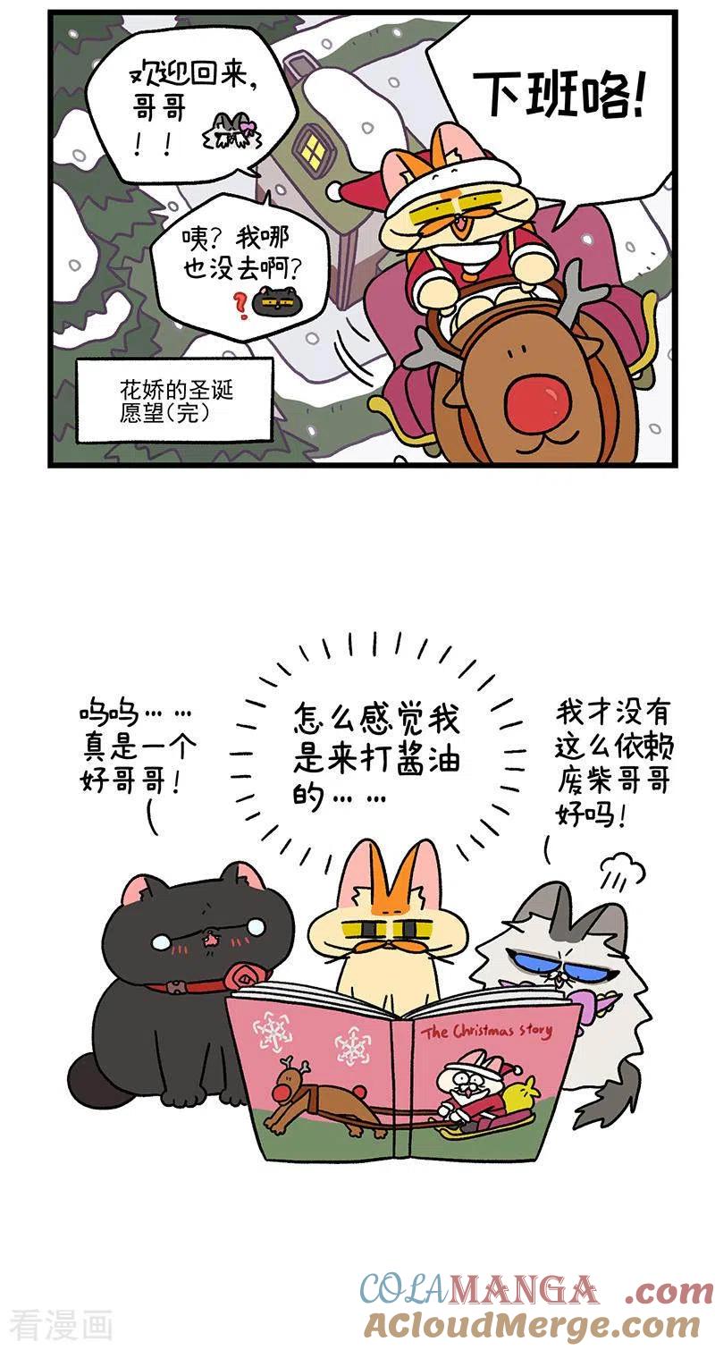番外12下花娇的圣诞愿望2-阿满和麦茶-新漫画 日胖大海寺（第5张）