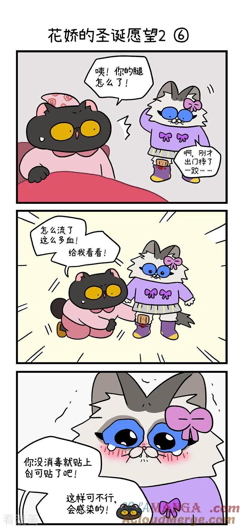 番外12下花娇的圣诞愿望2-阿满和麦茶-新漫画 日胖大海寺（第4张）