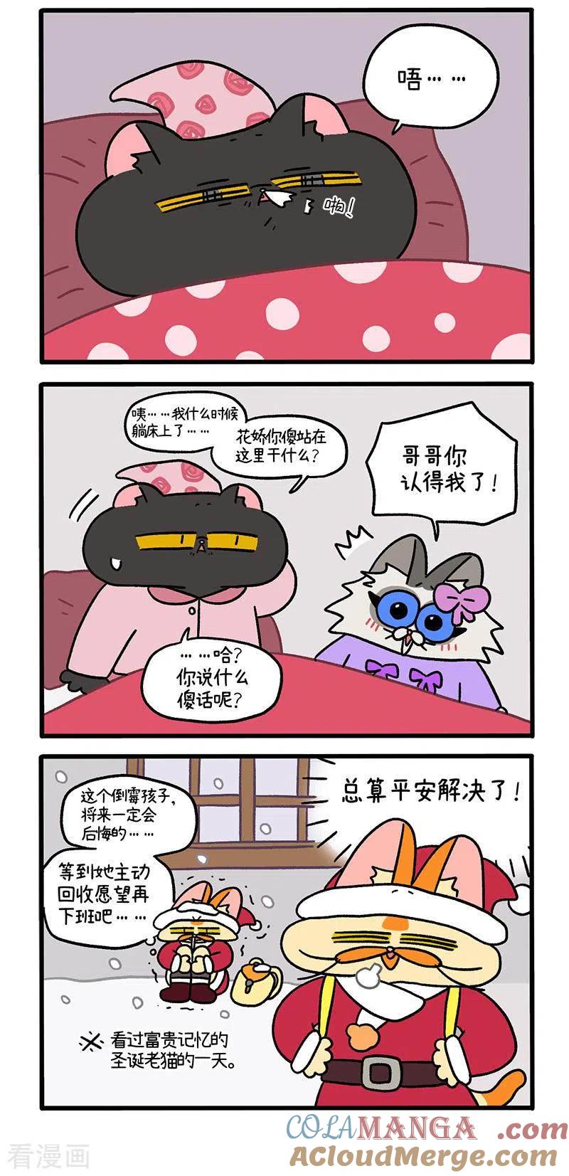 番外12下花娇的圣诞愿望2-阿满和麦茶-新漫画 日胖大海寺（第3张）