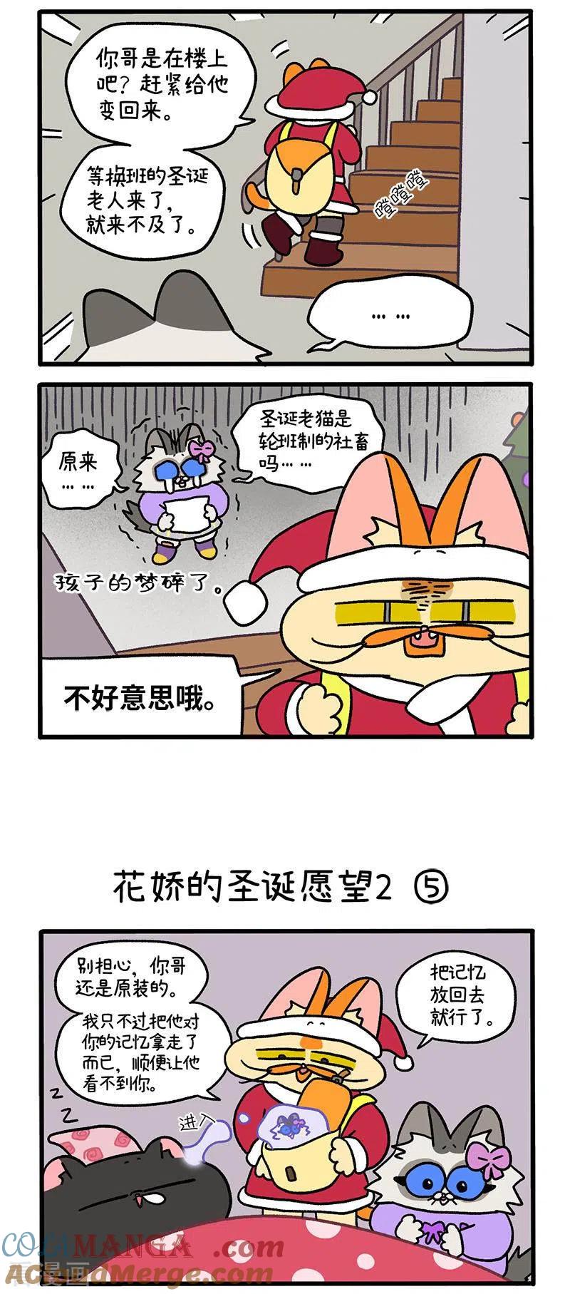 番外12下花娇的圣诞愿望2-阿满和麦茶-新漫画 日胖大海寺（第2张）