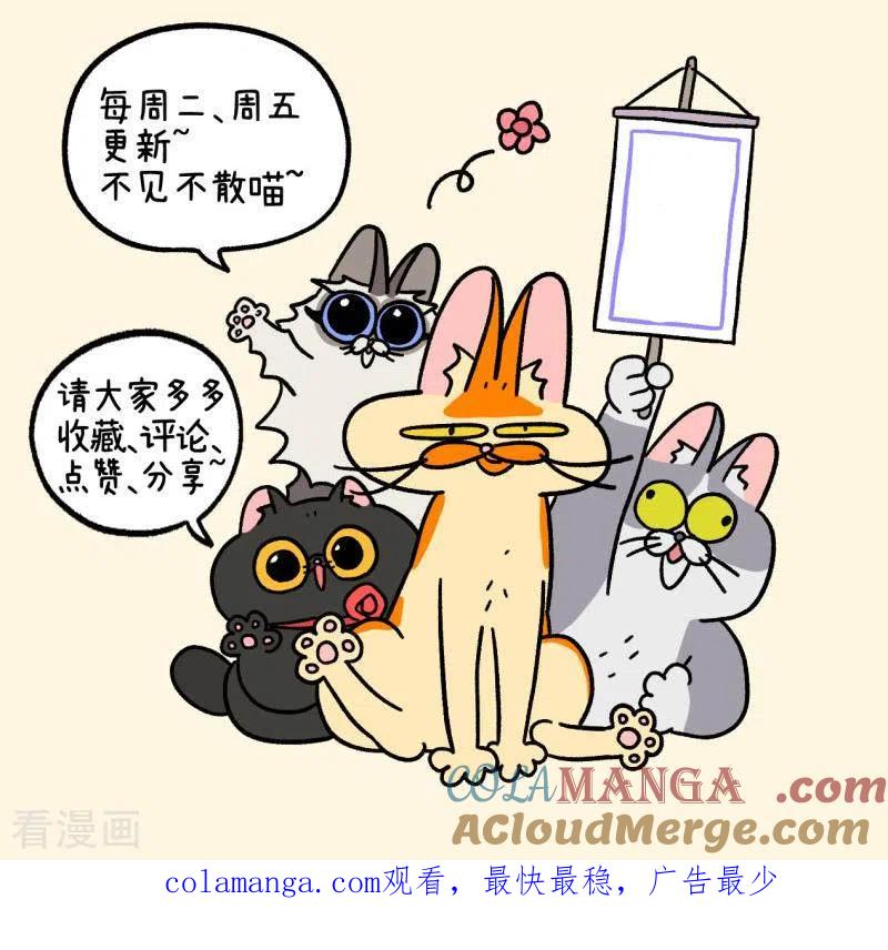 番外12下花娇的圣诞愿望2-阿满和麦茶-新漫画 日胖大海寺（第7张）