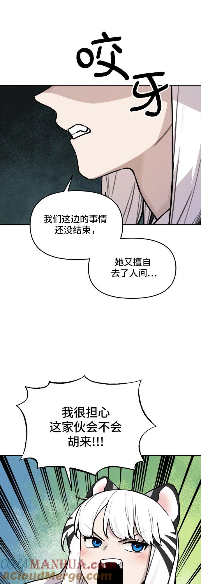 41.jpg