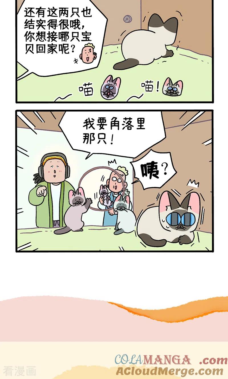 番外15上默默的新生活1-阿满和麦茶-新漫画 日胖大海寺（第6张）
