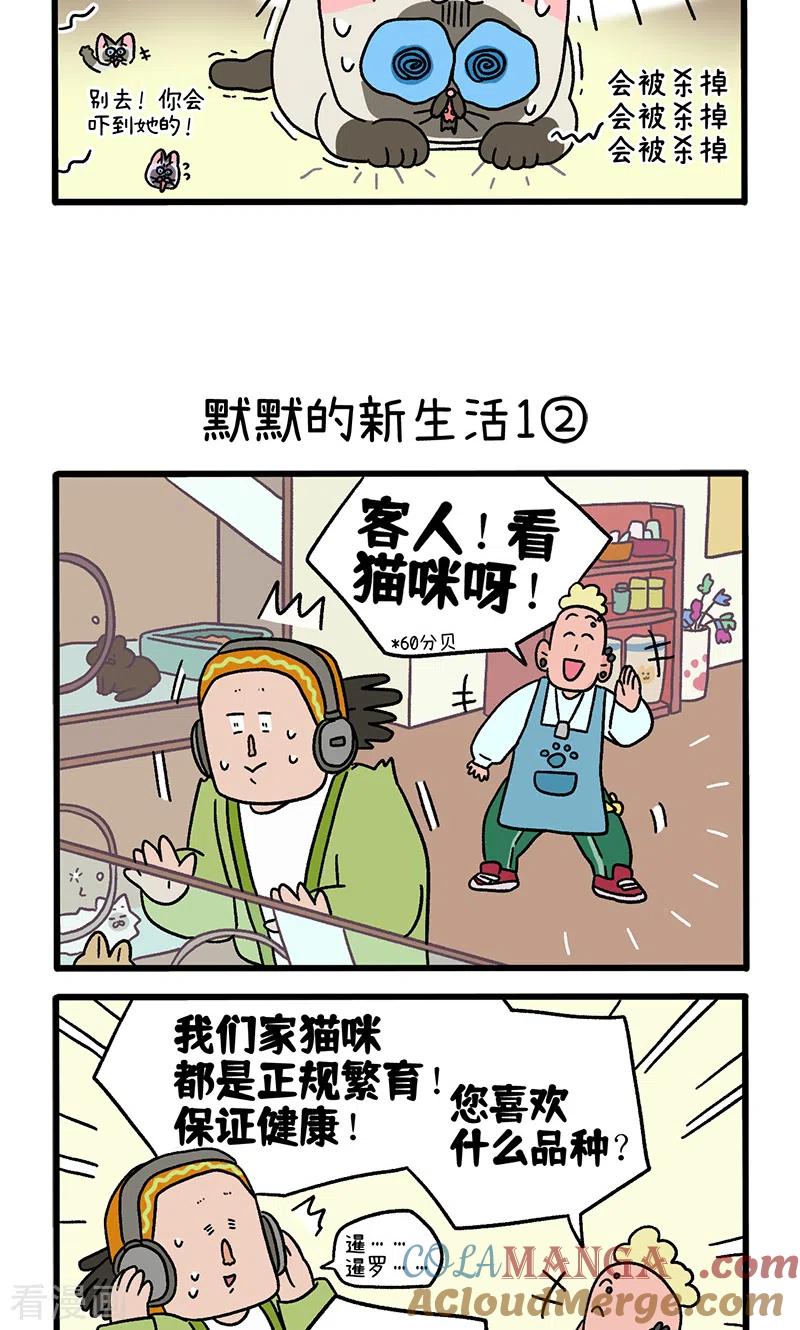 番外15上默默的新生活1-阿满和麦茶-新漫画 日胖大海寺（第3张）