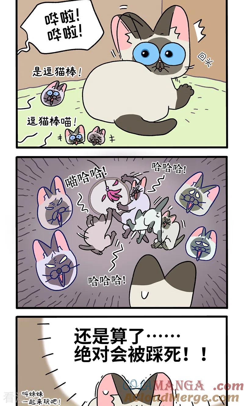 番外15上默默的新生活1-阿满和麦茶-新漫画 日胖大海寺（第2张）