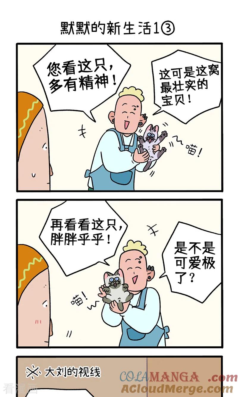 番外15上默默的新生活1-阿满和麦茶-新漫画 日胖大海寺（第5张）