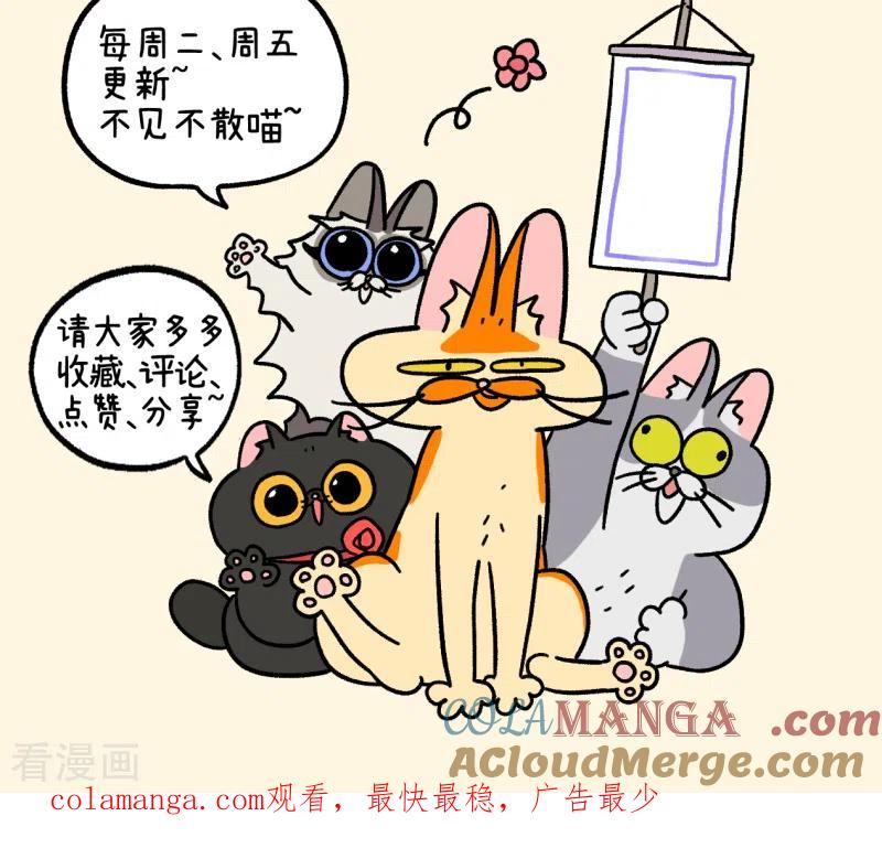 番外15上默默的新生活1-阿满和麦茶-新漫画 日胖大海寺（第8张）