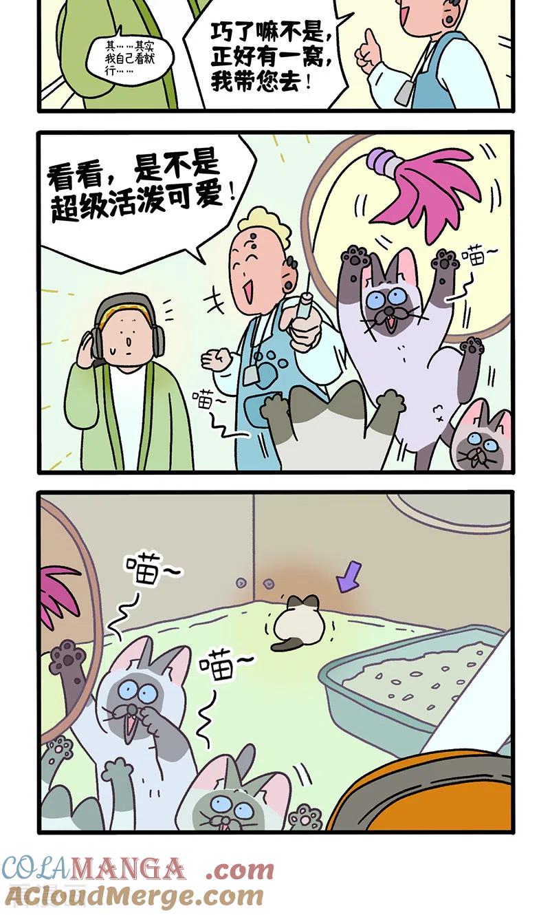 番外15上默默的新生活1-阿满和麦茶-新漫画 日胖大海寺（第4张）