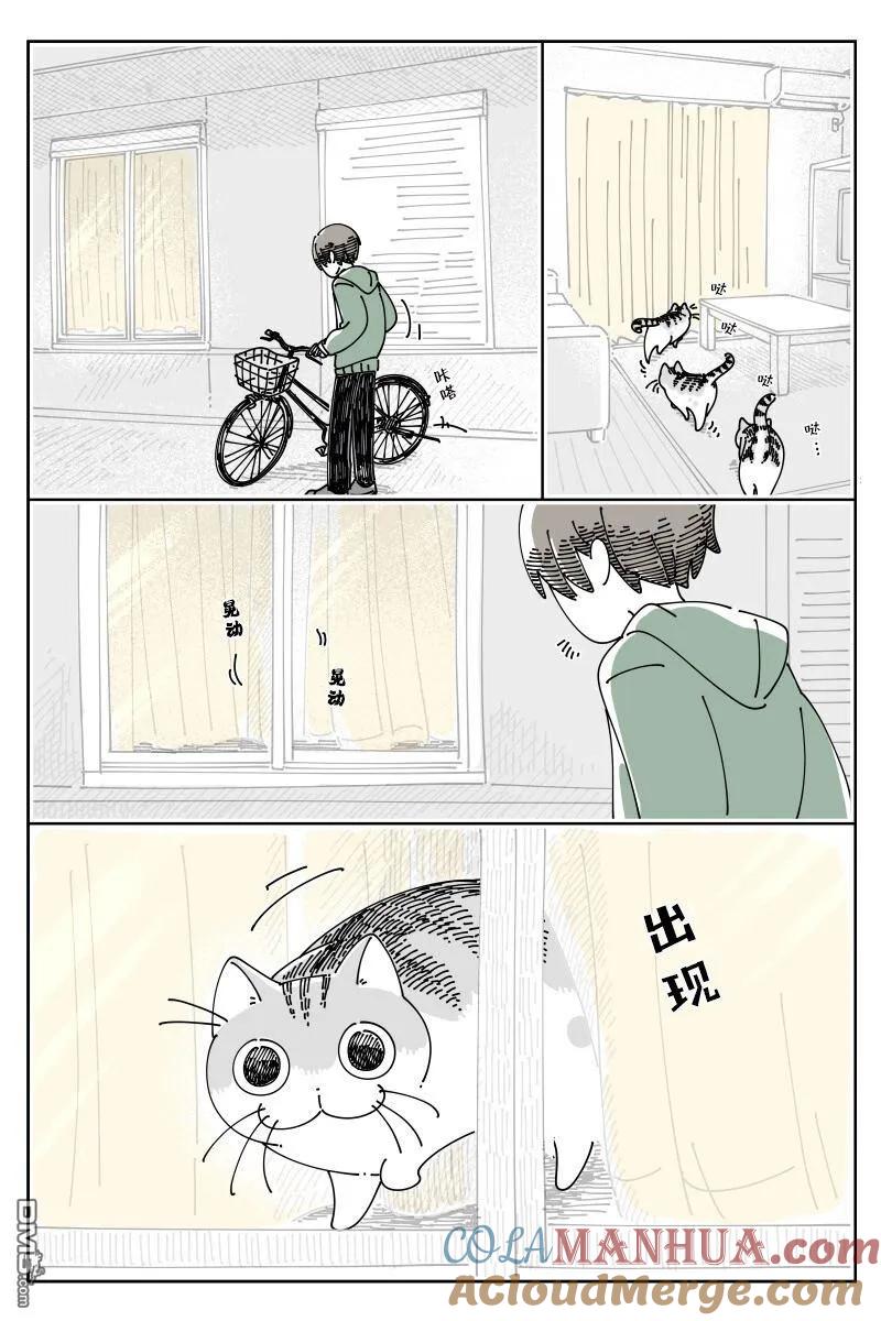 第151话-关于养猫我一直是新手-キュルZ（第1张）
