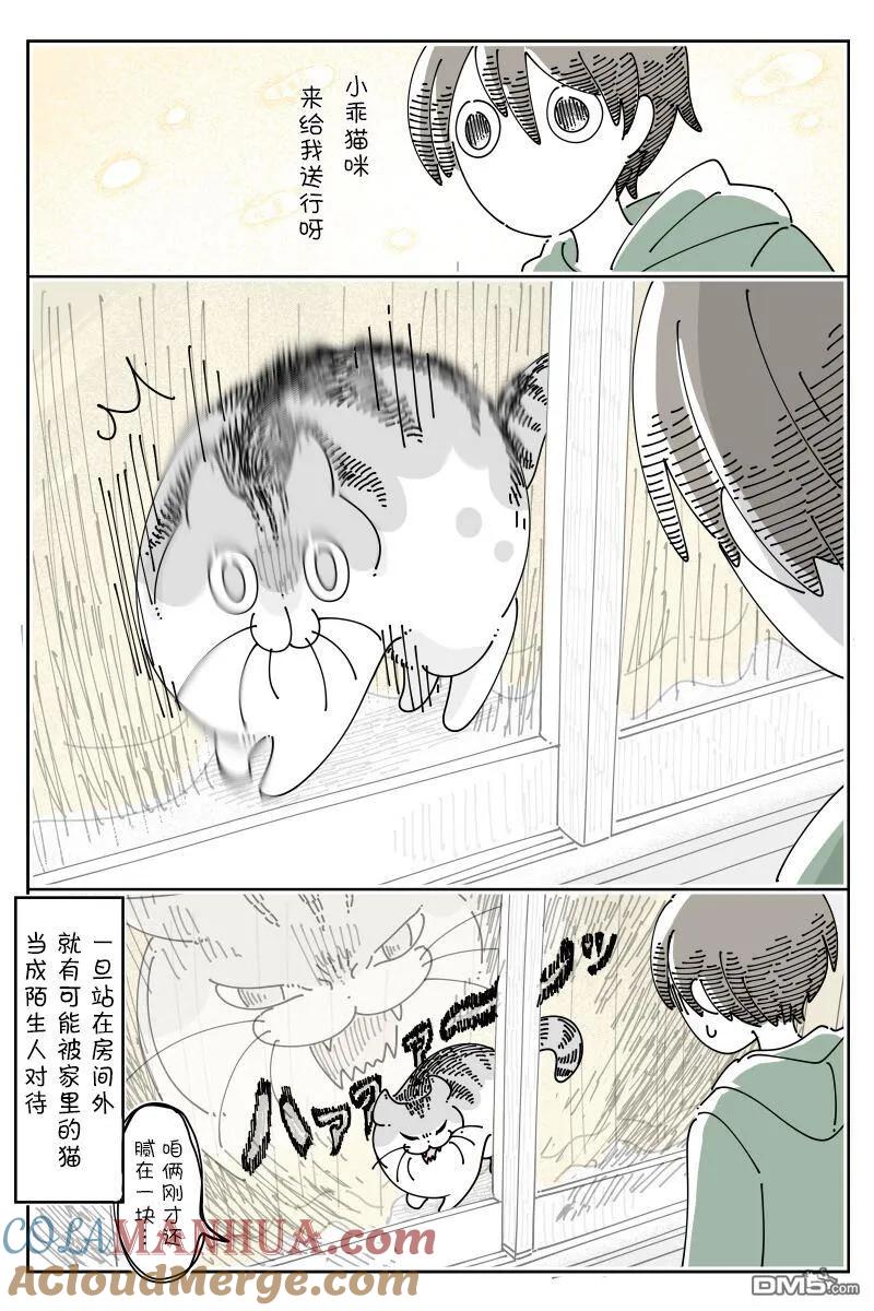 第151话-关于养猫我一直是新手-キュルZ（第2张）