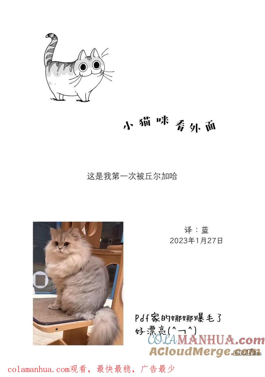 第151话-关于养猫我一直是新手-キュルZ（第3张）