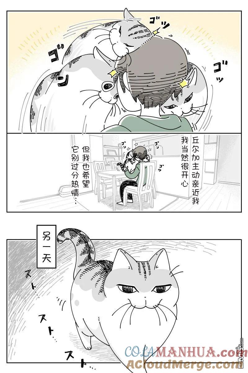 第159话-关于养猫我一直是新手-キュルZ（第1张）