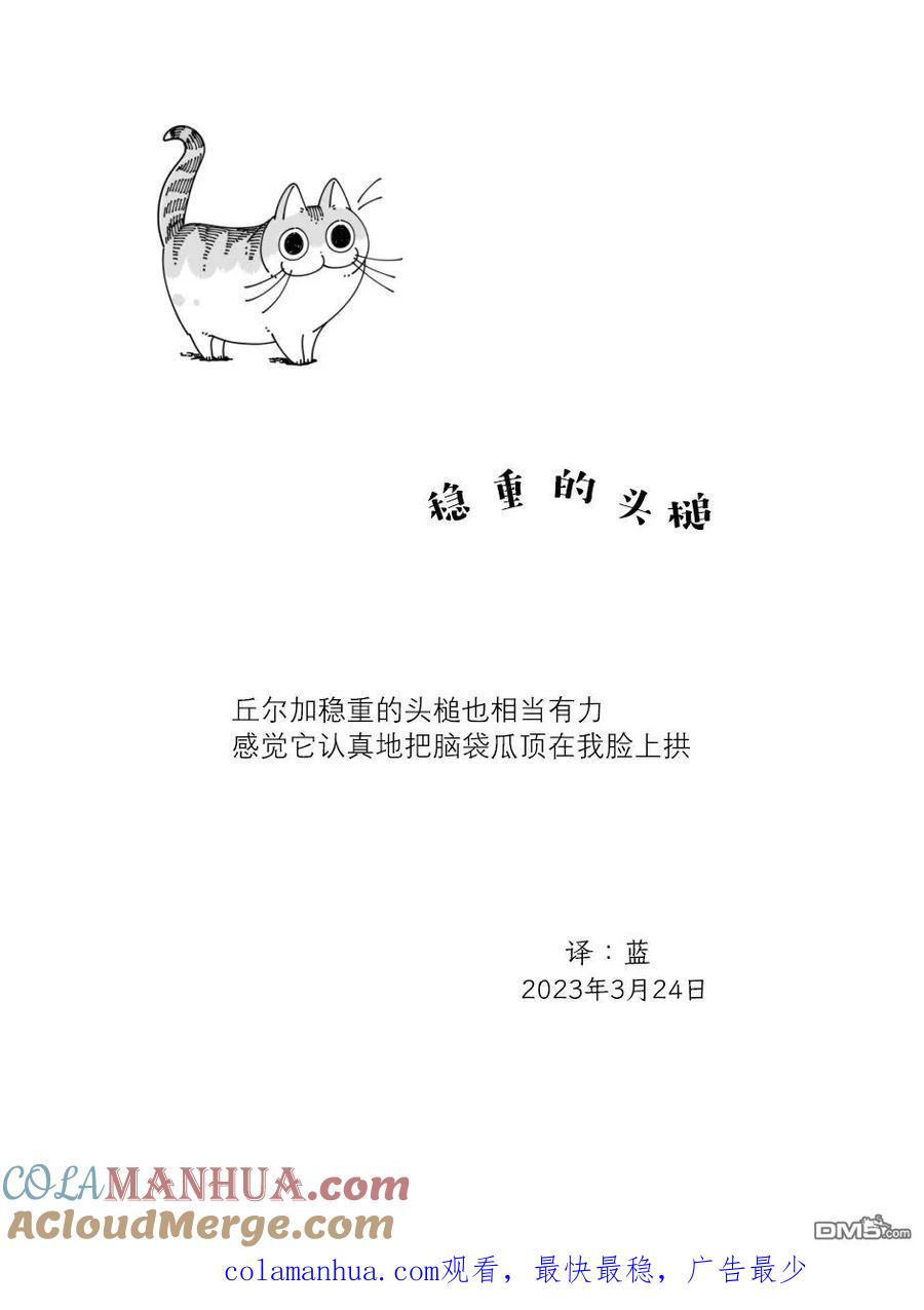 第159话-关于养猫我一直是新手-キュルZ（第3张）