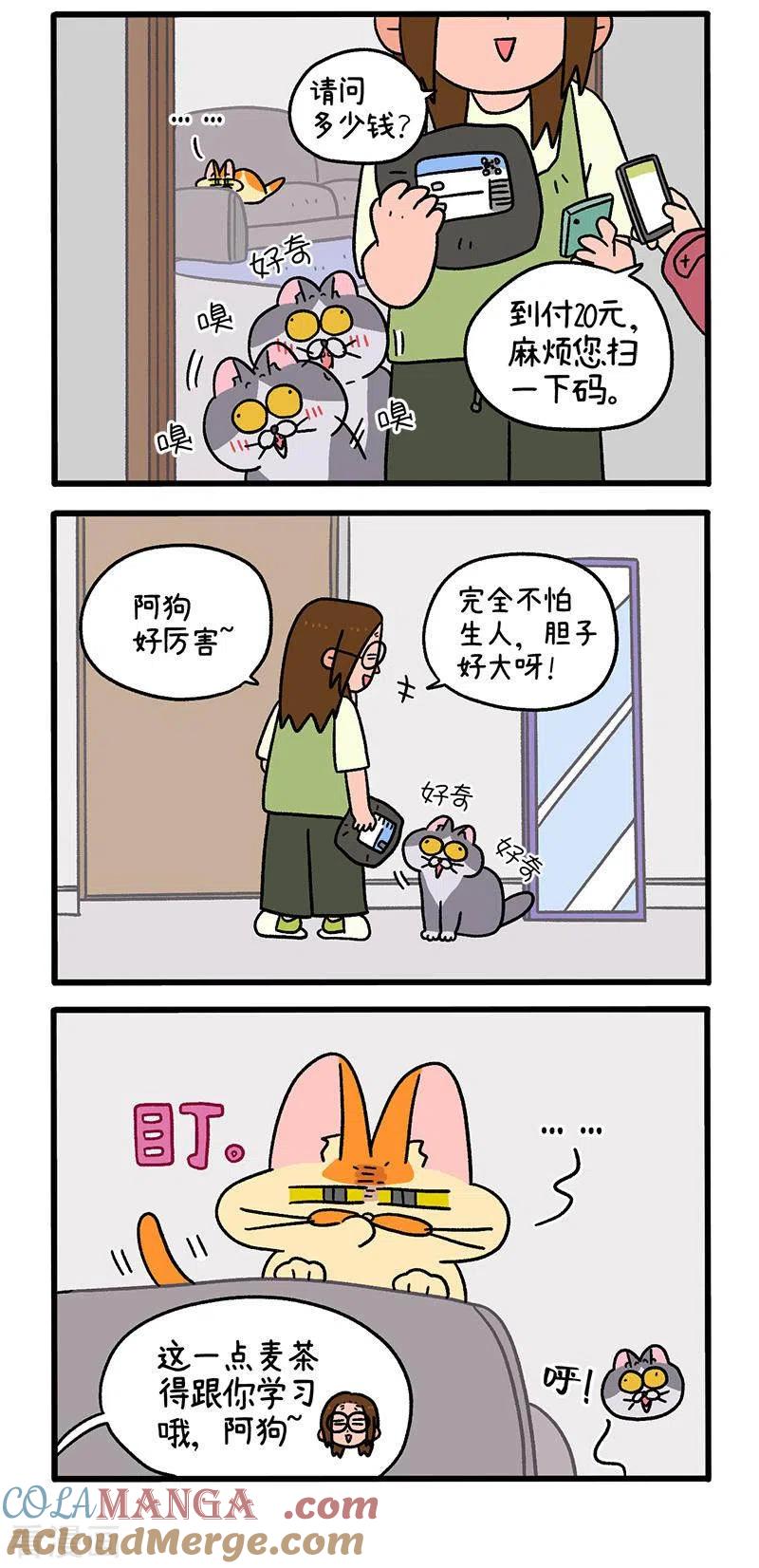第92话1偶尔会有小情绪-阿满和麦茶-新漫画 日胖大海寺（第3张）